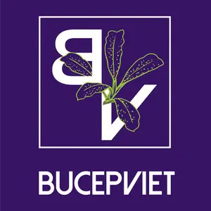 Bucep Viet