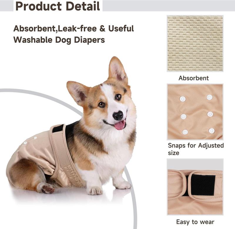 Diapers for dogs with no tail hotsell