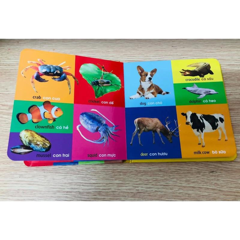 Sunbooks Sách Anh - Việt 101 Từ Đầu Tiên Chủ Đề Động Vật Dành Cho Bé Từ 2 Đến 7 Tuổi Bìa Cứng Giấy Bền Đẹp Kích Thước 15x15 cm NXB Mỹ Thuật 2021