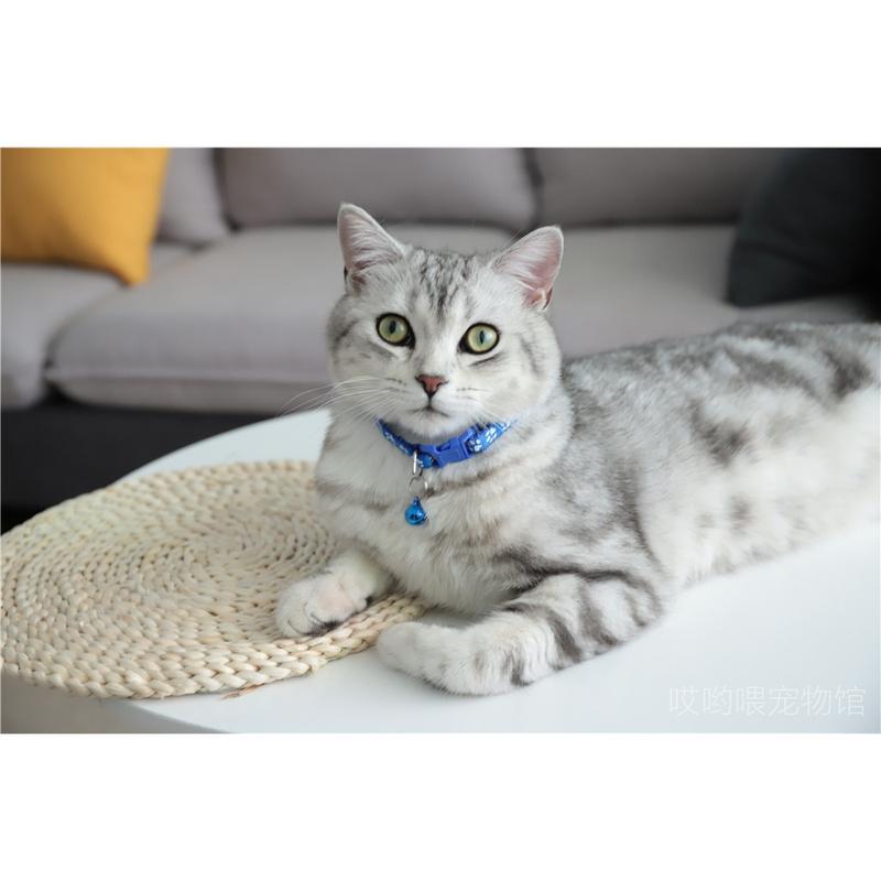 Vòng cổ lục lạc cho  Pet  hình dấu chân chó mèo，Thiết kế khóa bấm giúp đồ  cheo chuông chống