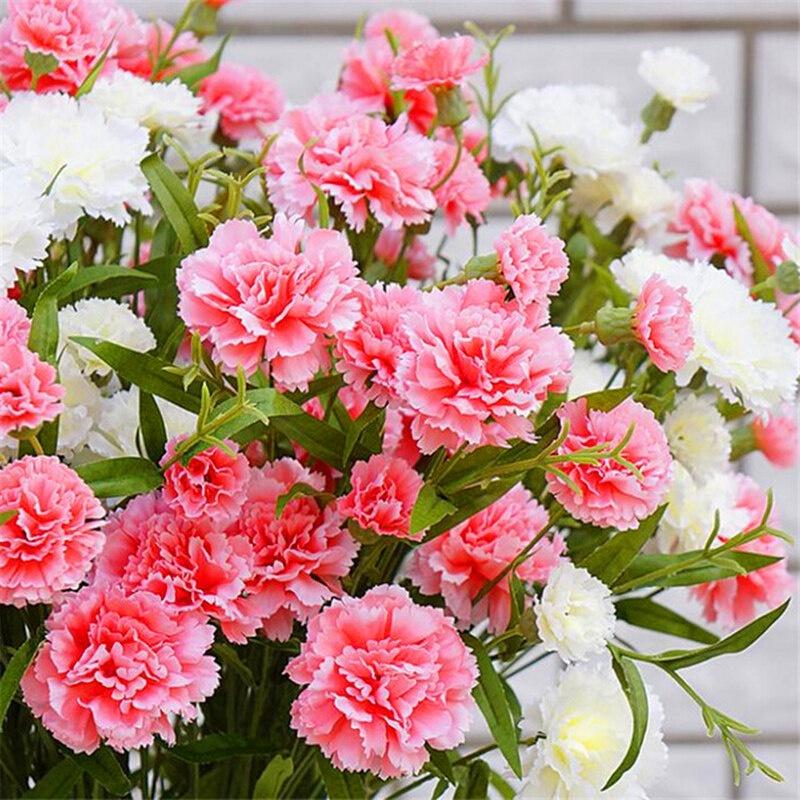 Flower And Ornamental Seeds High Quality Seeds For Planting (Dahlia, Roses, Portulaca, Etc.)High Germination Rate