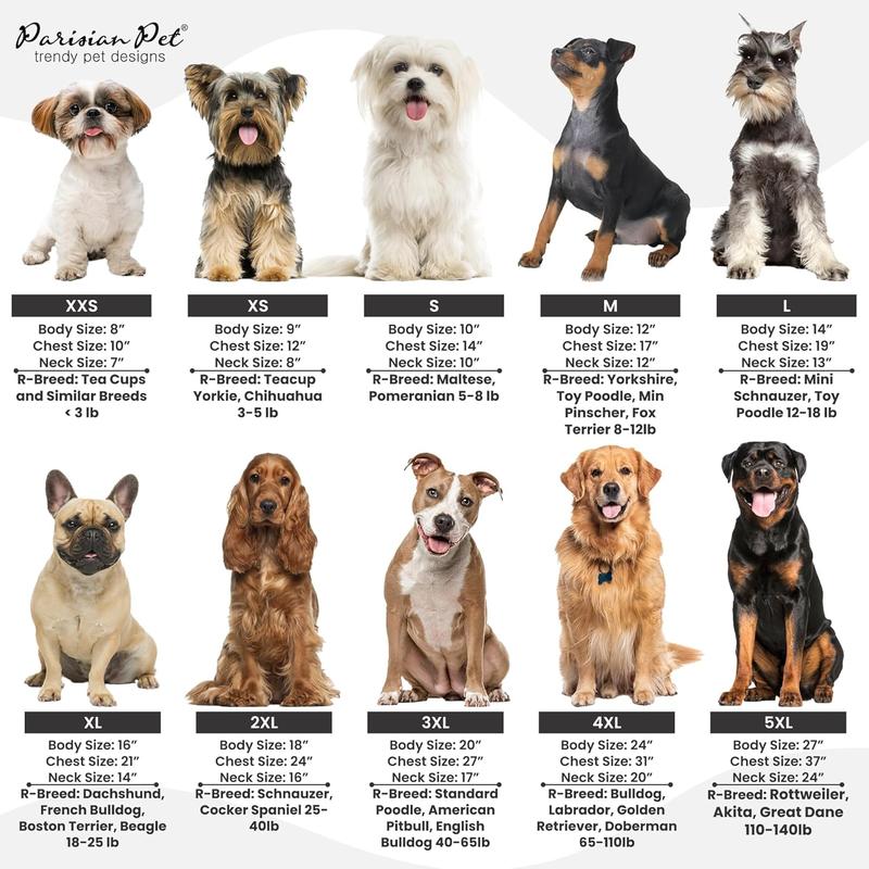 Terrier Dog What Size Is A Small Breed Dog The Most Popular Common